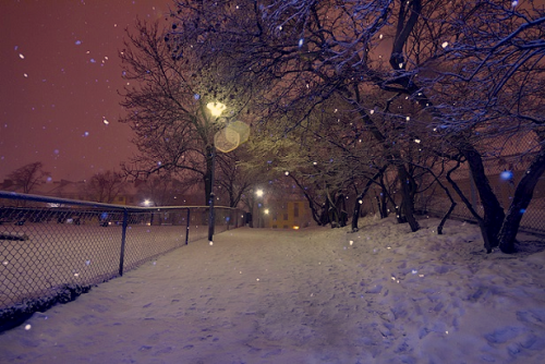 #photography#scenery#nature#sky#night#tree#snow#winter#snowfall#beautiful#december#january#february porn pictures