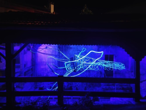 This giant squid of about 7 meters which glows in the night is the work of my friends Marion and Mos