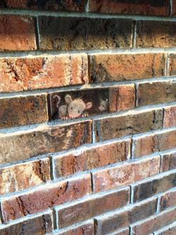 shaysa01:  Chalk art done by David Zinn in Michigan. This is about the cutest piece of chalk art I’ve ever seen! 