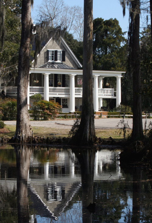 about-usa:  Charleston - South Carolina - USA (by anoldent)  