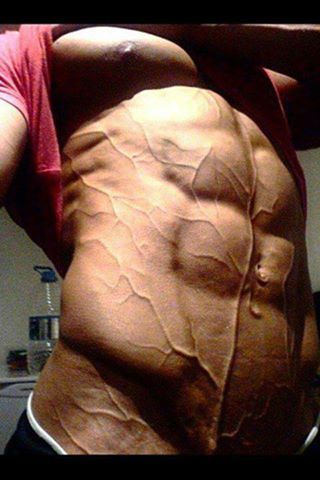 engineeringofjose:  drwannabe:  Id?  MOTHER….  Fuarkkkkkkkkkkkkkkk