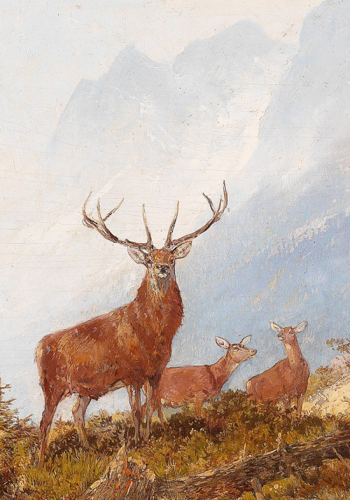 jaded-mandarin:  Fine Stag, 19th Century. Detail.