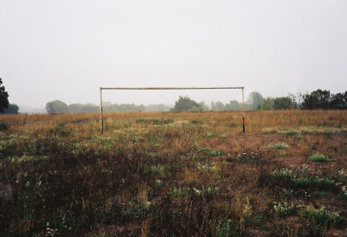 anna bergold