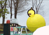 k-eke: If foxes, pigeons and other animals were actual real GIFs that existed? I