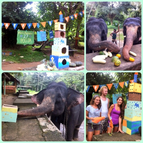 Pooja and her friend Rani had a fun time celebrating on Pooja&rsquo;s big day!