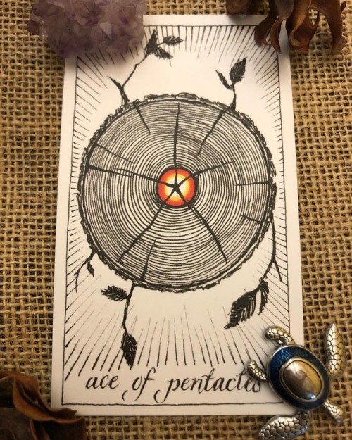 Do not fear change, death, new things are beginning to sprout from this change. Look forward to the blossoming of this change especially in the upcoming full moon! #tarot #wildunknown #priestess #newbeginnings #reiki #energyhealing #lightworker...