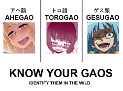 cheezyweapon:tsukum:SPECIFIC ANIME FACIAL EXPRESSION TERMINOLOGY GUIDE BY YOUR FRIENDLY NEIGHBORHOOD -GAO EXPERTahegao (アヘ顔): lit. “panting face,” ahegao refers specifically to a facial expression where the character’s eyes are rolled back