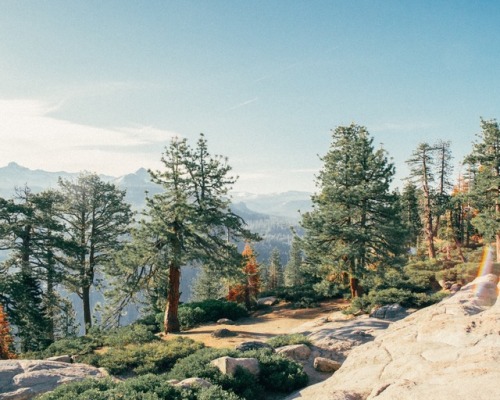 yosemite national park