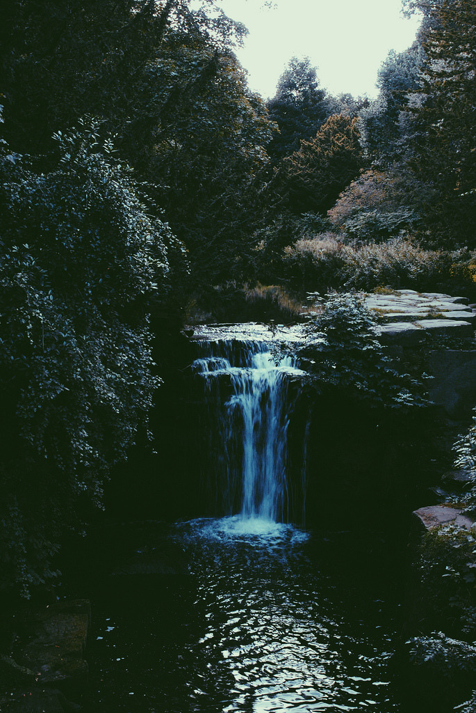 intotheclearing:  by Daniel Francis O'Dowd   