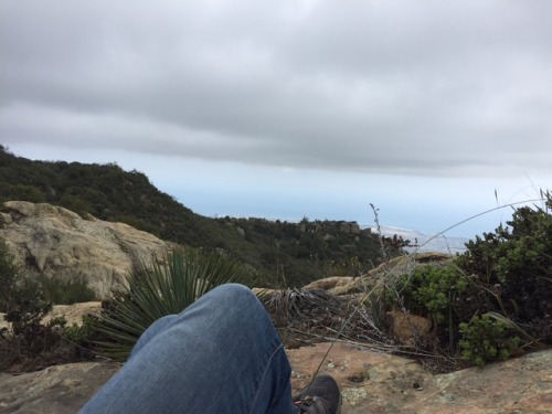 ladyofthelog:Looking out over Santa Barbara from Los Padres National Forest, living my best life jus
