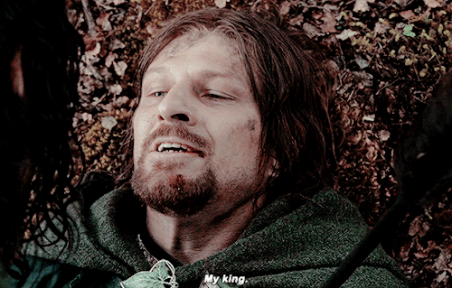 The Lord Of The Rings: The Fellowship Of The Ring (2001), Dir. Peter Jackson