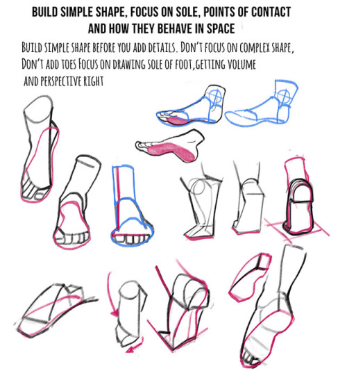art-res:kasiaslupecka:Weekly anatomy tip!This week I tackle feet. I know how many of you asked for i