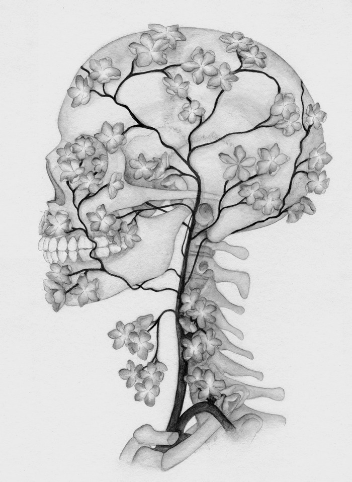 ligafrankorn:  →☠Dark surrealism and skull images here.☠←