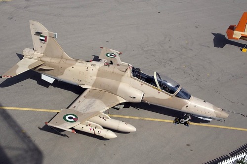 UAE airforce hawk bae. adult photos