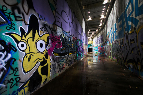 Girafa in the Lion’s Den.  