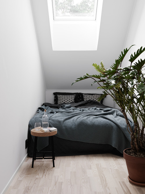 thatkindofwoman:  styleandcreate:  Swedish Blooc has done it again - a new beautiful house development called Patio. I totally love it! | Styling by Alexandra Ogonowski | Photo by Kristofer Johnsson  Follow Style and Create at Instagram | Pinterest