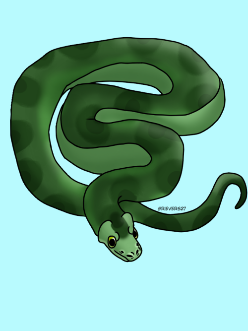 Well Here She Is. Nagini In All Of Her Glory.Honestly, Snakes Are A Pain To Draw. It's So Much Length