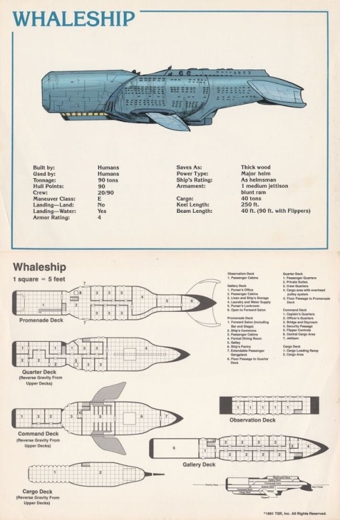 ‪A whaleship. I stumbled upon this, and thought: “Okay, so here’s a whaleship. Now I’m at a crossroa