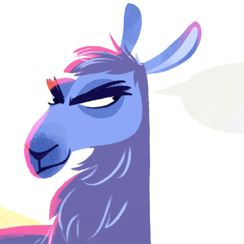 A few weeks ago I said to my fiance “Beware of drama llamas” And he said “ …you should 