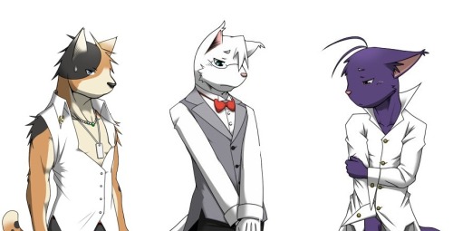 innocent-gamer-shun:  ~Neko Neko Neko~