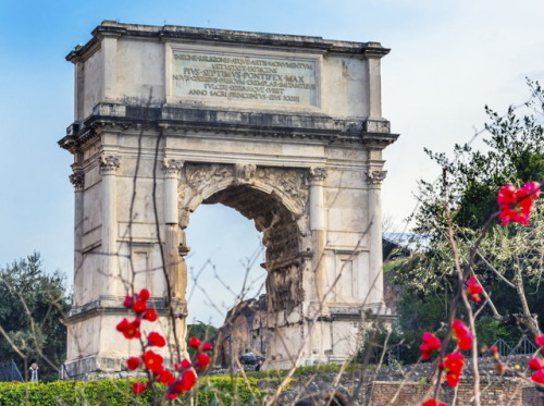 romebyzantium: Arch of Titus and Red Flowers,Roman Forum, Rome, Italy. Erected in 81 AD in honor of 