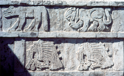 Two eagles devour human hearts, depicted below two jaguars. Carvings from the Toltec archaeological 