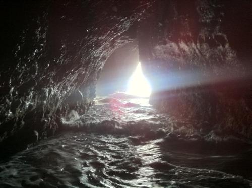 Also found this cave/tunnel 