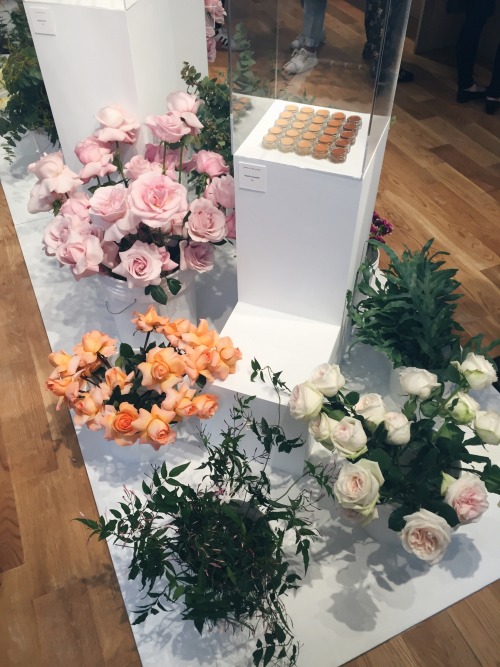 lilgivenchyprincess: Glossier