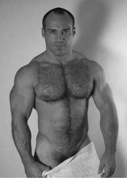 dilf-fan:  MUSCLE DADDY BEAR HAIR