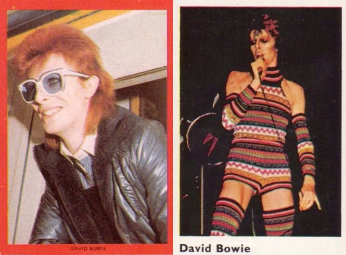 merelygifted: zgmfd: David Bowie trading cards (1976) LOVE ALL THE BOWIES!