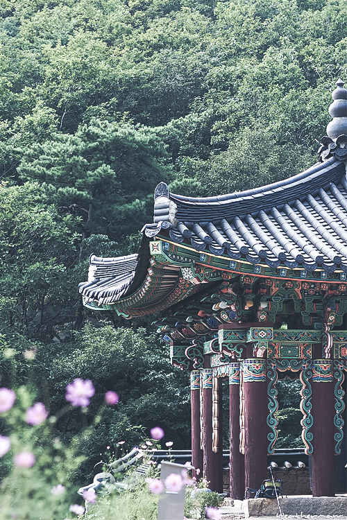 billionaired:  Temple by Iweatherman 