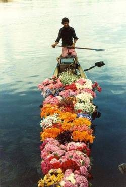 cazadordementes:  Flores de Xochimilco, Ciudad de México 1960s 