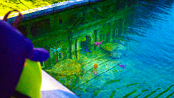     Will you defend Oozma Kappa no matter how dangerous, no matter how insurmountable