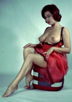 Vintage Lingerie Collection