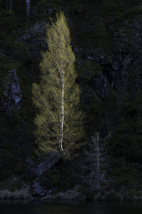 sitoutside:   _Q2A1006   by  Tore Skifjeld  
