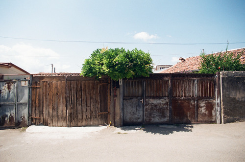 Georgia 2016 / Gruzja / Pentax ME Super / Fujifilm 100