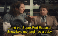 WeedPornDaily Tumblr