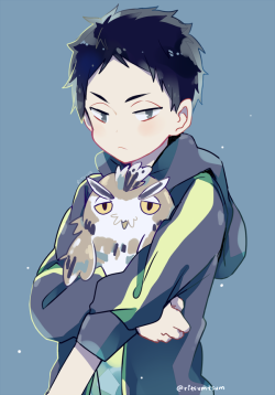 konekoma:  First post here!  (｡･‿​‿･｡)ﾉ   Young Akaashi with his pet owl and Kenma with his pet Kurocat! 