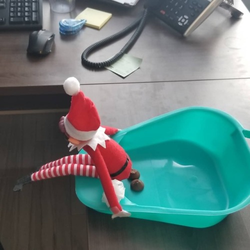 Day 2 of my weird coworkers #elfontheshelf #elfonabedpan #elfnurse #elfpoop https://www.instagram.co