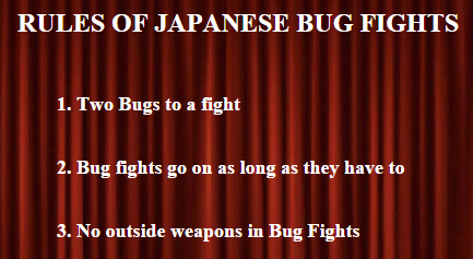 nissan420sx:the first rule of bug fight club istwo bugs to a fight