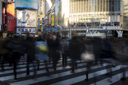 Shibuya crossing