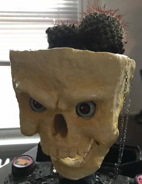 Made my girlfriend a skull planter with a moveable jaw.  As a full time potter, I can confirm that a
