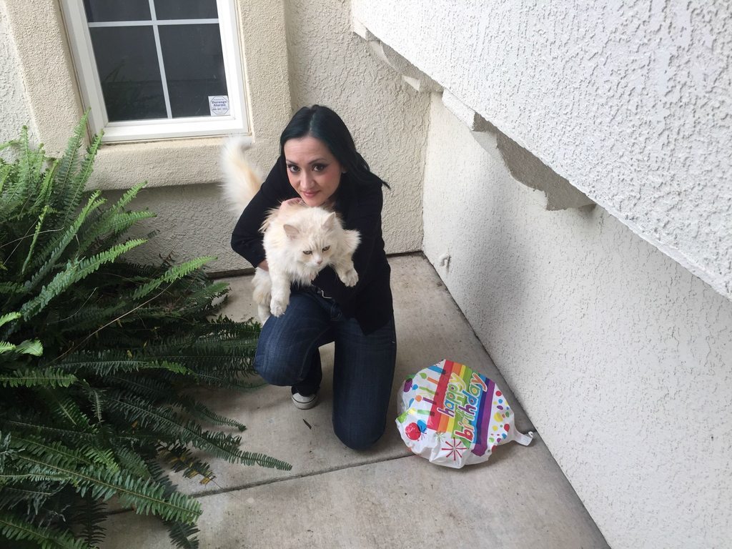 online-cats:  My wife and I started feeding a stay cat. He likes to bring us presents,