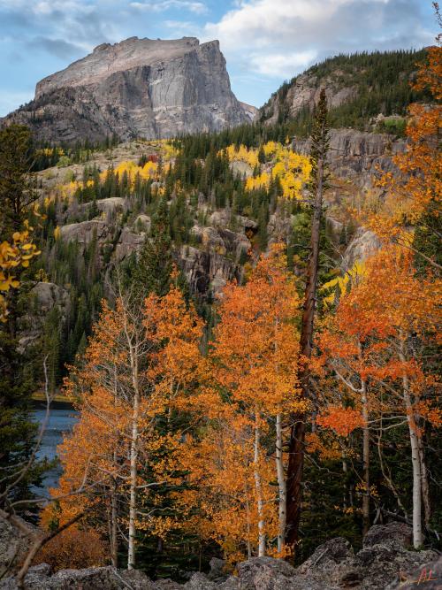 amazinglybeautifulphotography:Fall sunrise