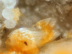 underthescopemin:  Chiavennite, Analcime Locality: Vevja Quarry, Tvedalen, Larvik, Vestfold, Norway Vug containing light-yellow-orange crystals of chiavennite and translucent-white crystals of analcime.   Bruce Kelley specimen and photo.