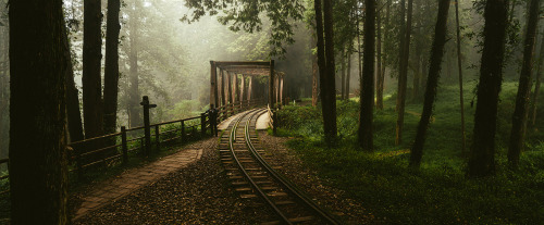 阿里山水山線 | Alishan Shuishan Trail