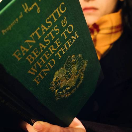 We all need a little magic. (actually..a lot). . . #fantasticbeastsandwheretofindthem #fantasticbe