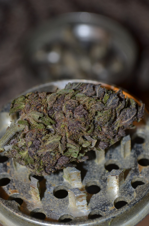 instabaked:  It’s so tough to grind up these nugs