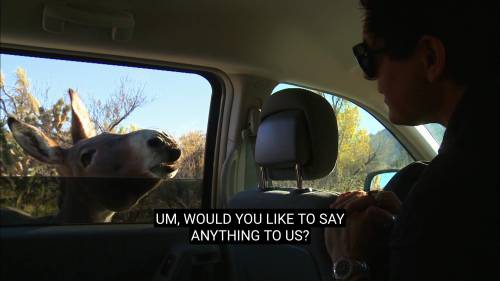 the-world-turned-upsidedown: Ghost Adventures antics circa 2010 