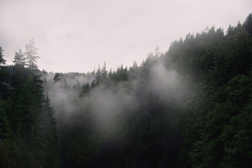 Look and Breathe